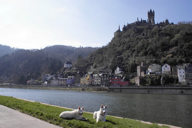 Coralie & Keona an der Mosel